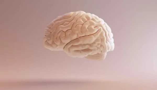  عکس مغز