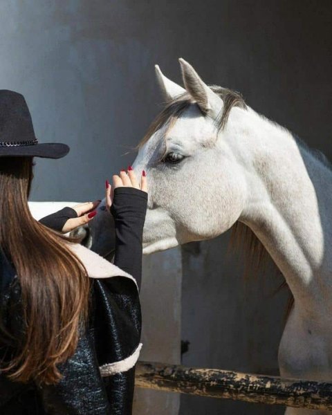  عکس دختر با اسب سفید برای پروفایل