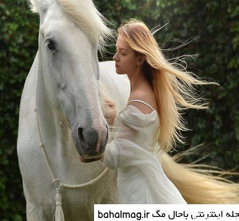  عکس اسب رویایی