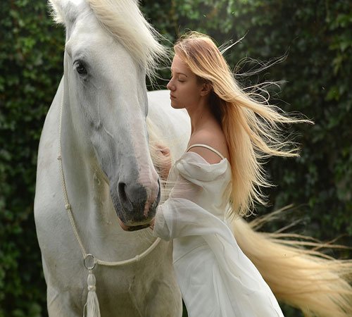  عکس اسب سفید برای پروفایل