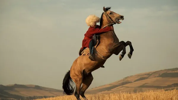 عکس گرانترین اسب ایران