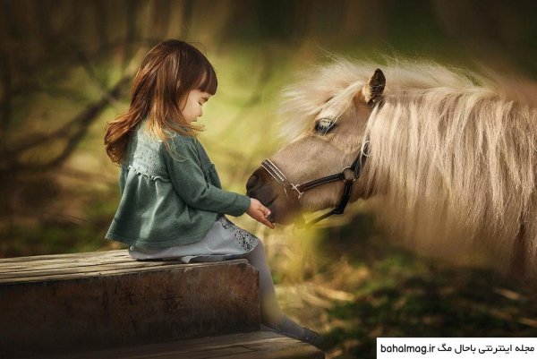 عکس دختر با اسب برای پروفایل