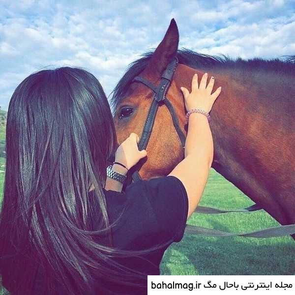 عکس دختر با اسب برای پروفایل