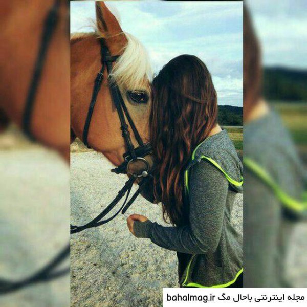 عکس دختر با اسب برای پروفایل