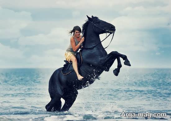  عکس اسب و دختر عاشقانه