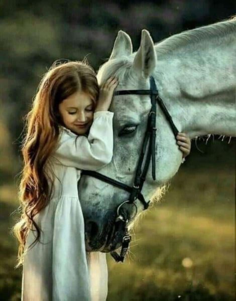  عکس اسب و دختر برای پروفایل