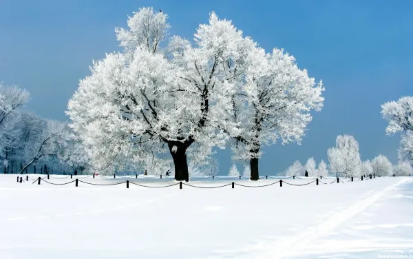 عکس اسپرت برای پس زمینه