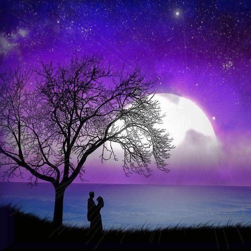  یک عکس عاشقانه بدون متن