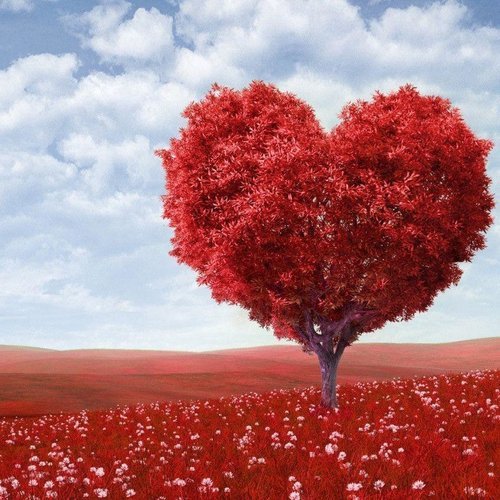  یک عکس عاشقانه بدون متن