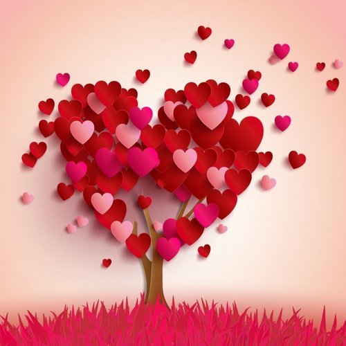  یک عکس عاشقانه بدون متن