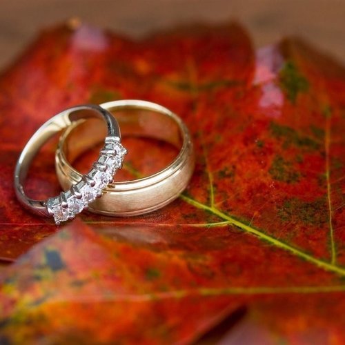  یک عکس عاشقانه بدون متن