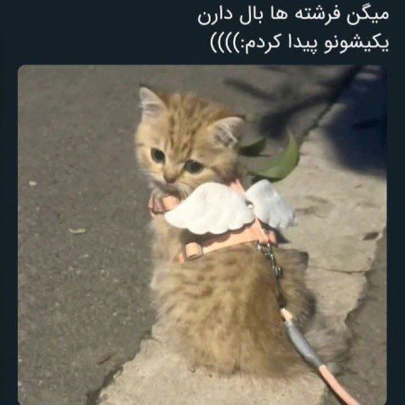  عکس عاشقانه بدون متن بغل