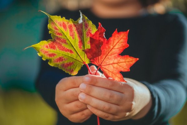  عکس دونفره پاییزی عاشقانه