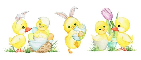  عکس کارتونی اردک