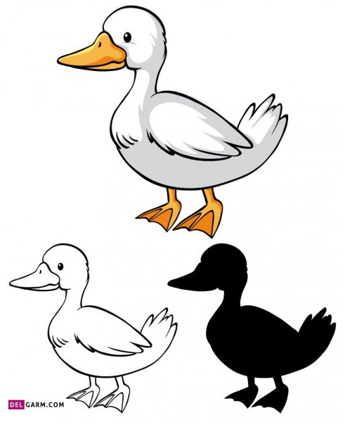  عکس اردک نقاشی