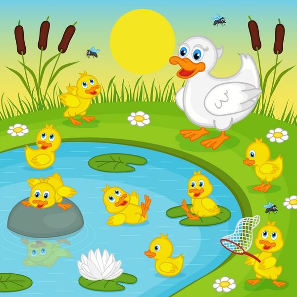  عکس اردک کیوت فاتزی