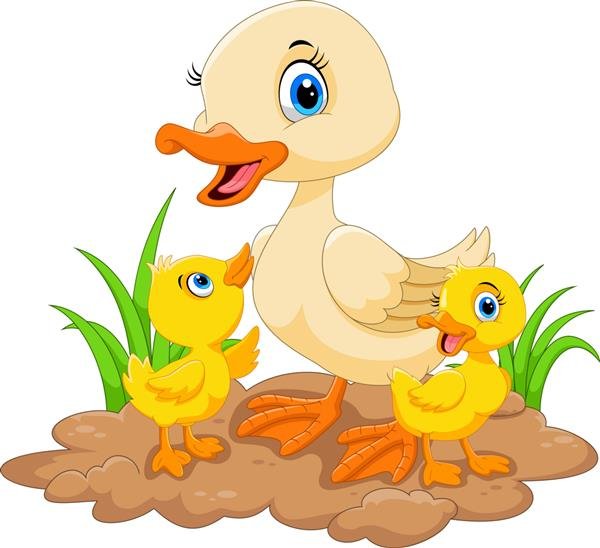  عکس اردک کیوت فاتزی