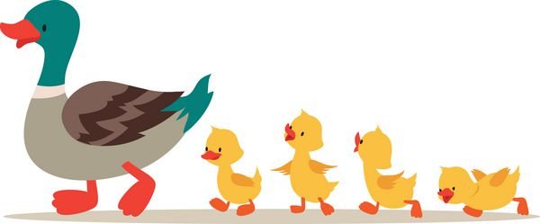  عکس اردک کیوت فاتزی