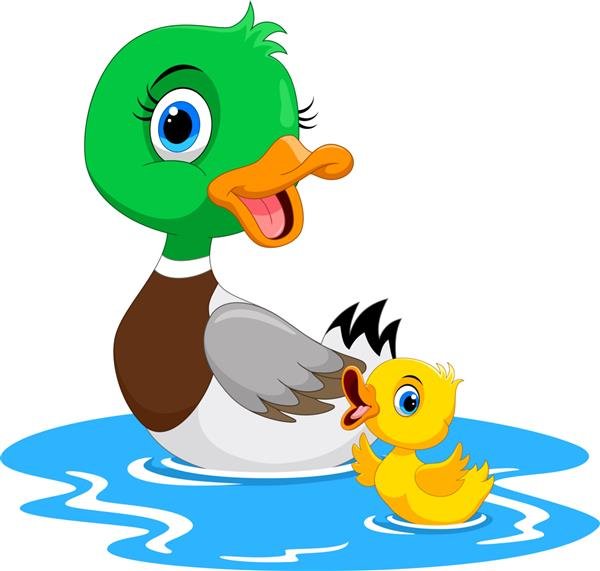  عکس اردک کیوت فاتزی