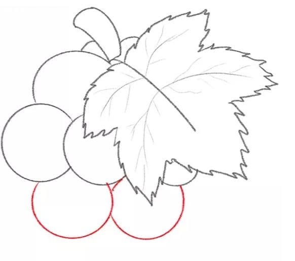  عکس انگور نقاشی