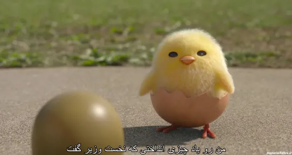  عکس کارتونی جوجه