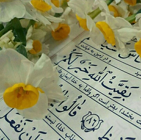 پروفایل امام زمان جدید