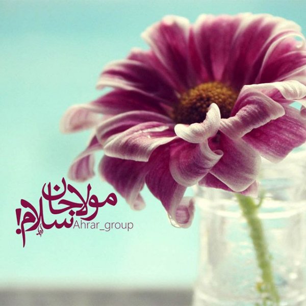پروفایل امام زمان جدید