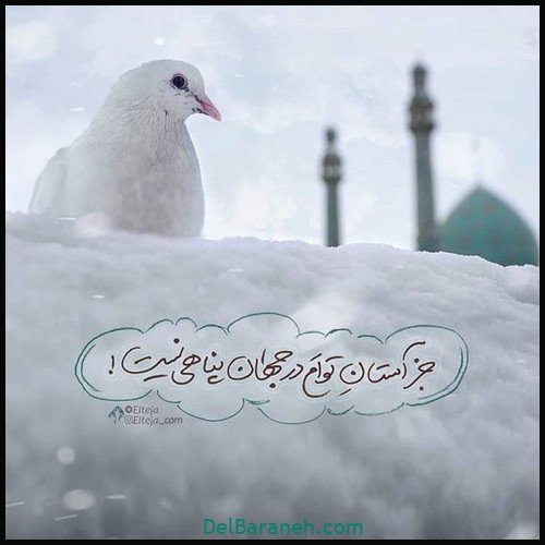 پروفایل امام زمان جدید