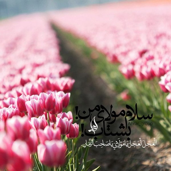 پروفایل امام زمان جدید