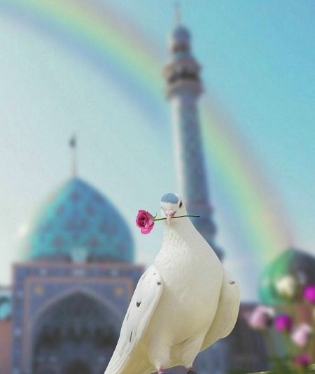  عکس جمکران برای پروفایل
