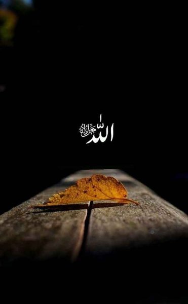  پس زمینه الله 4k