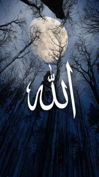  پس زمینه الله 4k