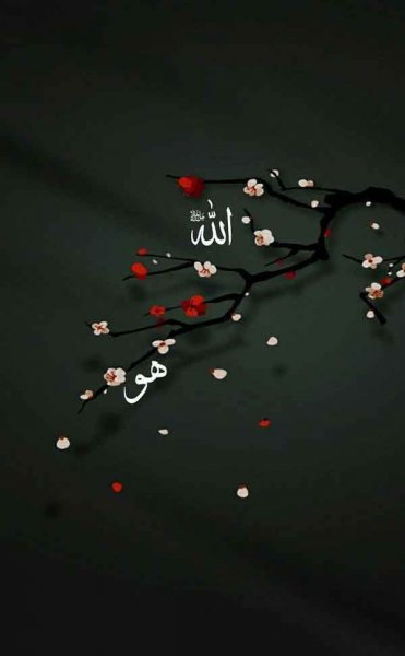  پس زمینه الله 4k