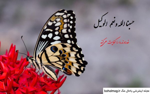  عکس حسبی الله برای صفحه گوشی