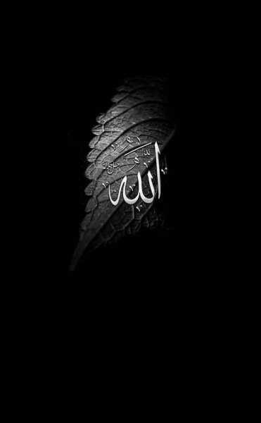  تصویر زمینه الله جدید