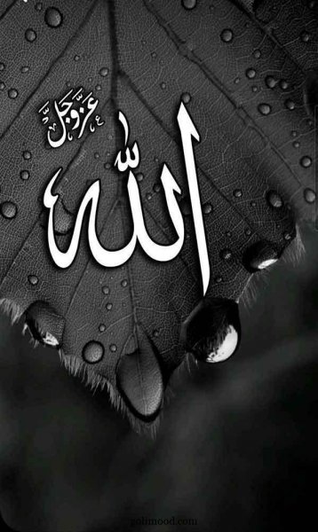  تصویر زمینه الله جدید