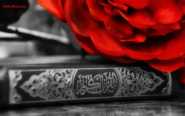  یک عکس زیبا مذهبی