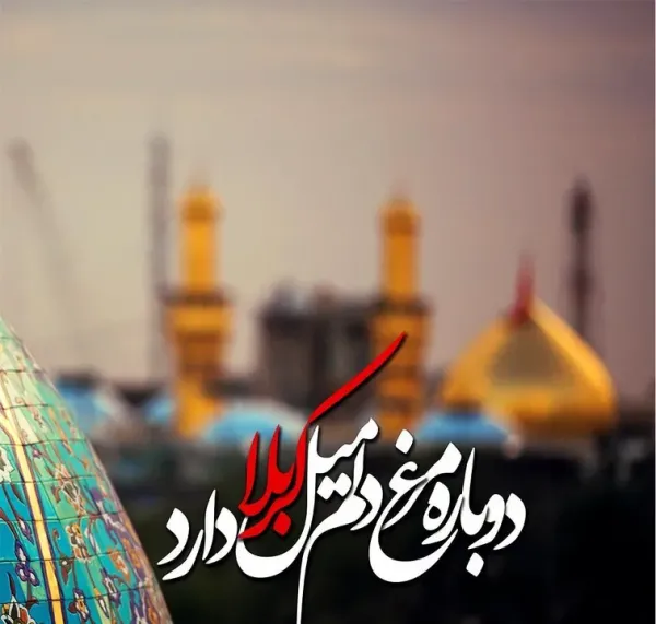  یک عکس زیبا مذهبی