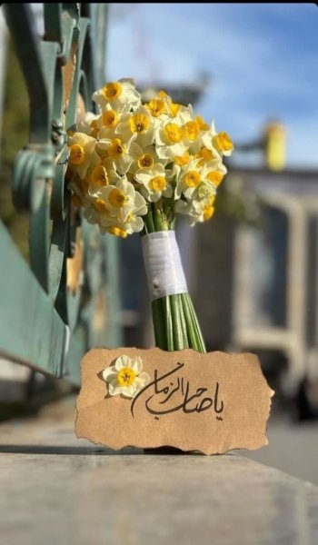  عکس پروفایل دختر مذهبی جدید