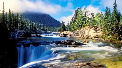  تصویر زمینه زنده 4k