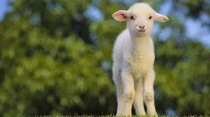  تصویر زمینه 6 بعدی برای کامپیوتر