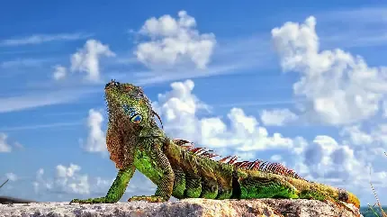  تصویر زمینه 6 بعدی برای کامپیوتر