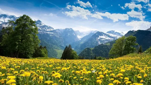  دانلود تصویر زمینه برای کامپیوتر 4k