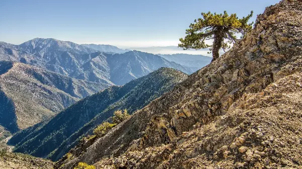  دانلود تصویر زمینه برای کامپیوتر 4k