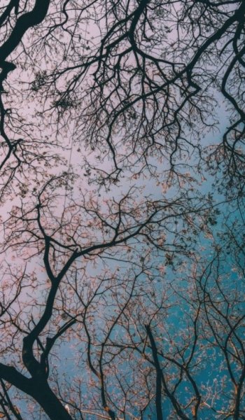 تصویر زمینه کیوت فانتزی صورتی