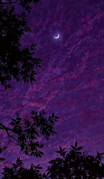  وایب بنفش پینترست