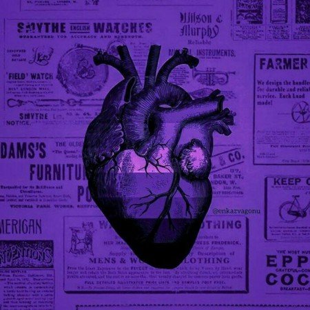  وایب بنفش پینترست