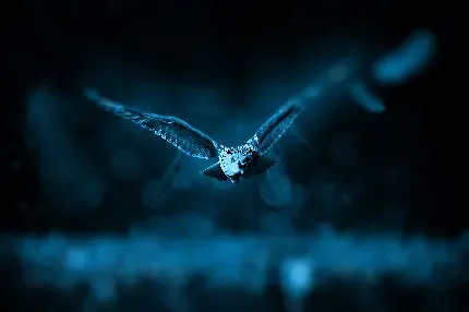  دانلود والپیپر دارک 4k