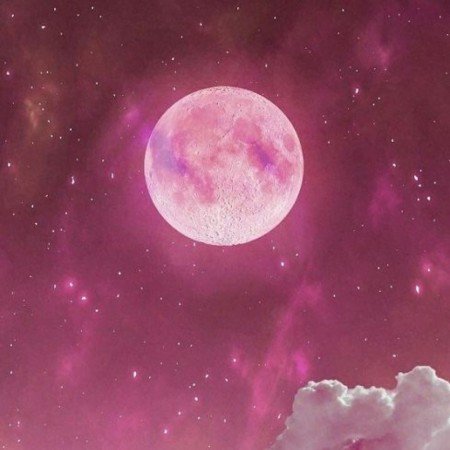  عکس پاپیون برای پس زمینه