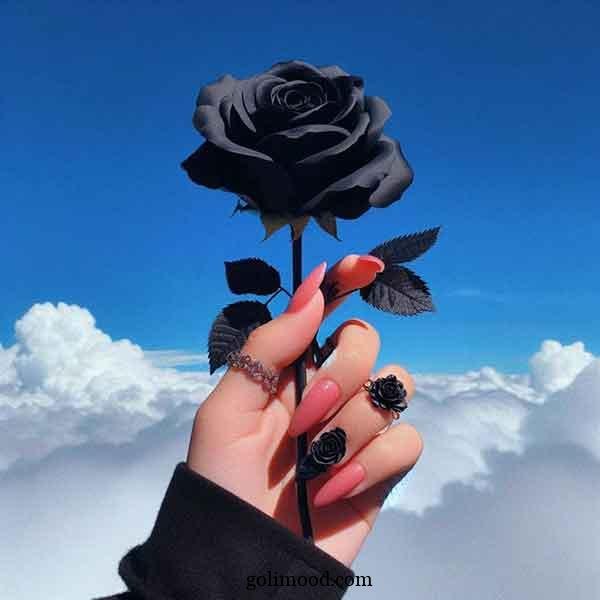  عکس گل برای پروفایل اینستا دخترونه